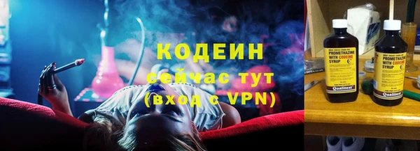 прущие грибы Фурманов