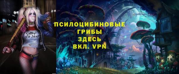 дмт Белокуриха