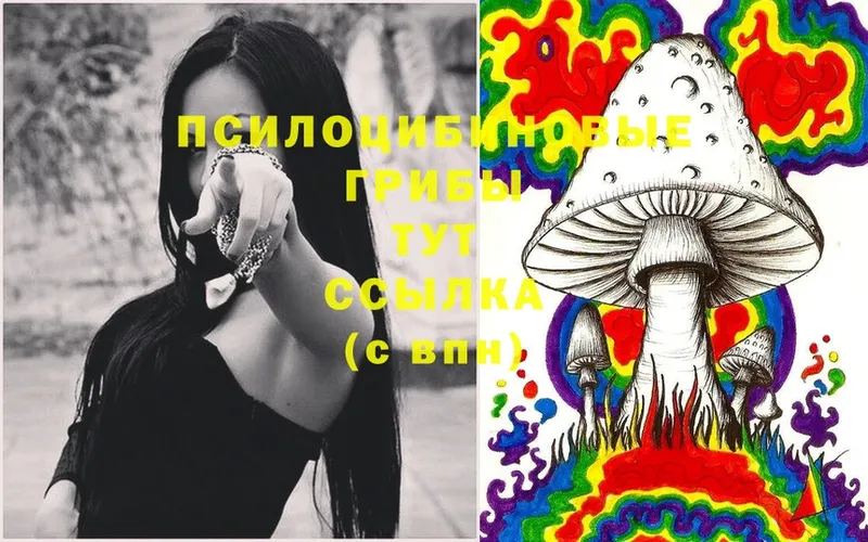 Галлюциногенные грибы Magic Shrooms  Бологое 